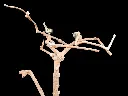 20250315_115748.webp