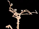 20250315_115743.webp