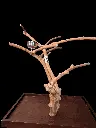 20250329_165816.webp