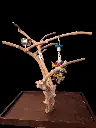 20250329_170100.webp