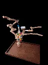 20250329_172545.webp