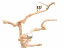 20250330_144417.webp