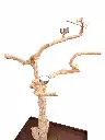 20250330_144344.webp