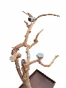 20250330_144357.webp