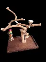 20250507_190343.webp