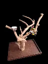 20250507_190331.webp