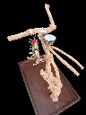 20250507_192450.webp