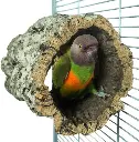 122833--Photoroom.webp