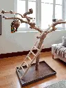 20250830_191259.webp