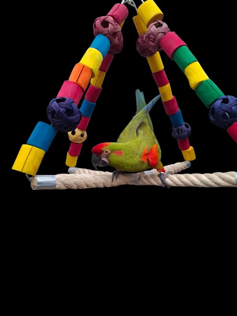 20251115_123645 (2).webp