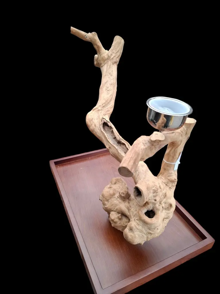 20251115_135013 1.webp