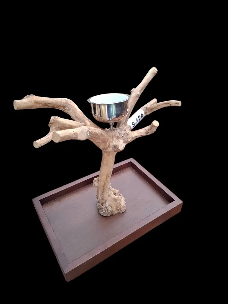 20251214_140009 (1).webp