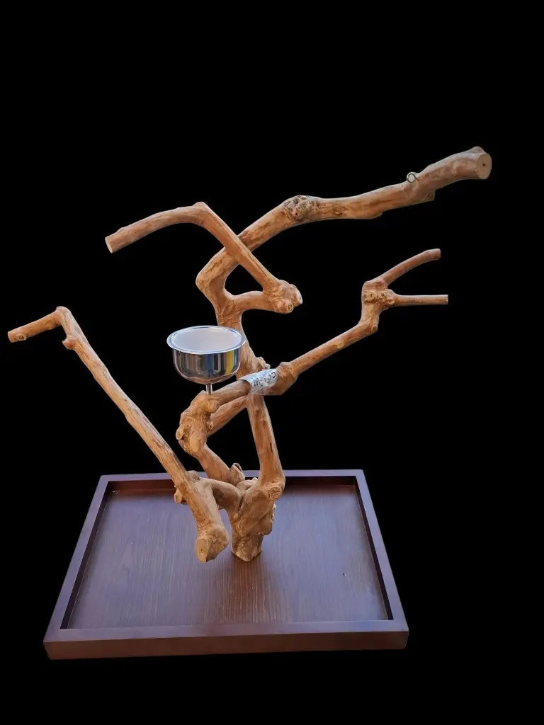 20260117_112715 (1).webp