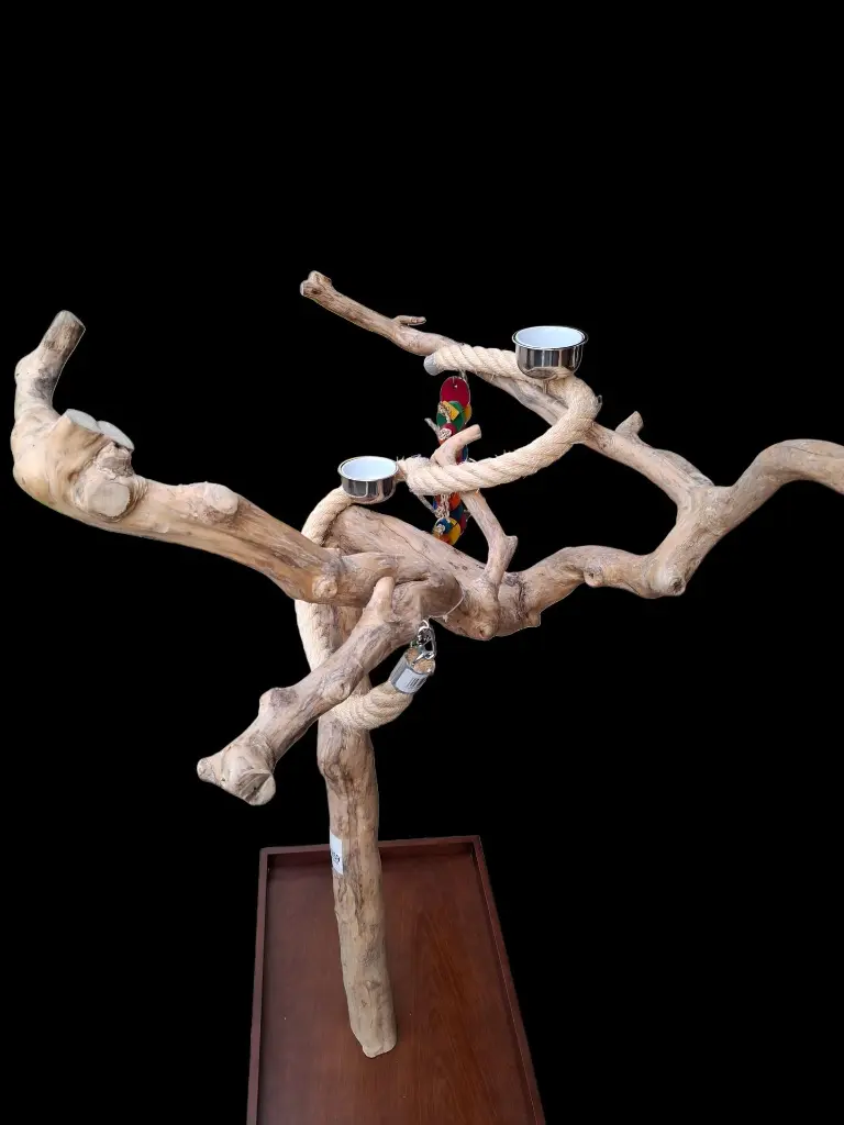 20260306_172900 (1).webp