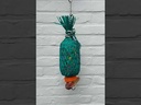 FORAGE PINEAPPLE