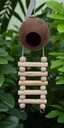 COCO LADDER NEST