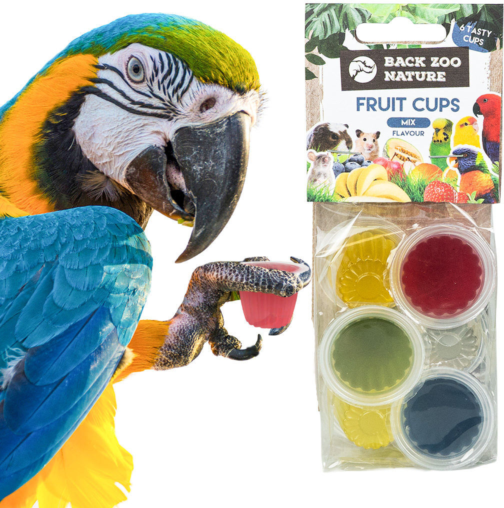 FRUITKUIPJE MIX 6ST 