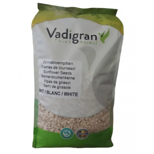 Graines de Tournesol Blanches 500g – Nutrition naturelle pour oiseaux