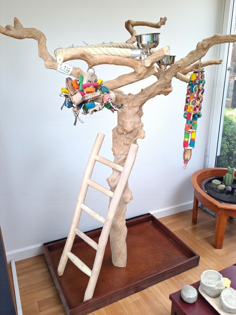 JAVABOOM GRAND 1M80 (Vendu) Retrait sur place uniquement