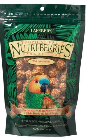 NUTRI BERRIES PAPEGAAI TROPICAL FRUITS 284G