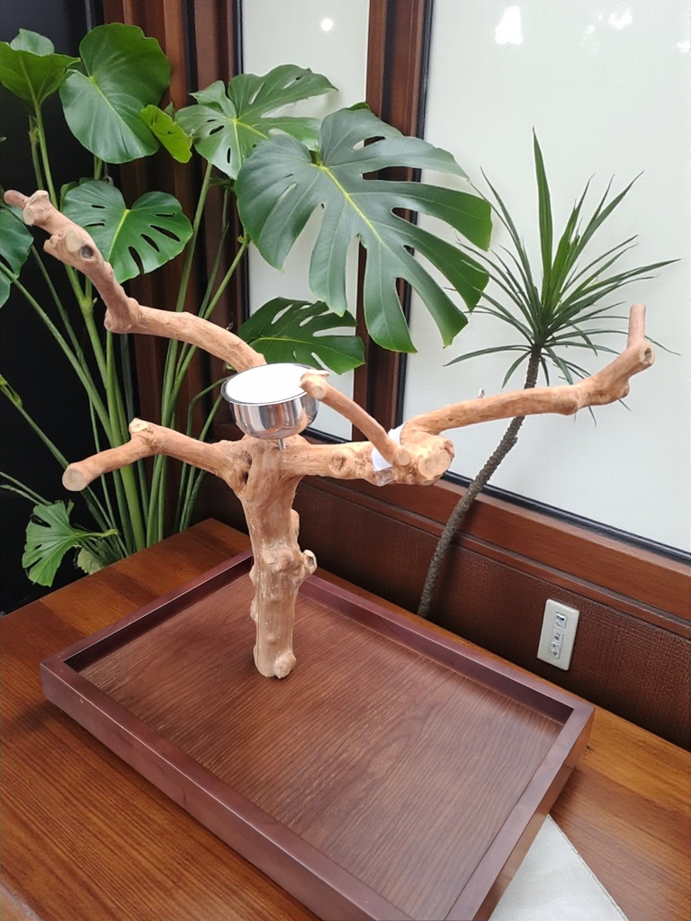 JAVABOOM TAFELMODEL  (M141 )