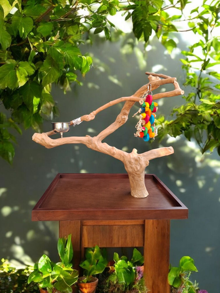 MODÈLE DE TABLE ARBRE JAVA GRAND (L46)