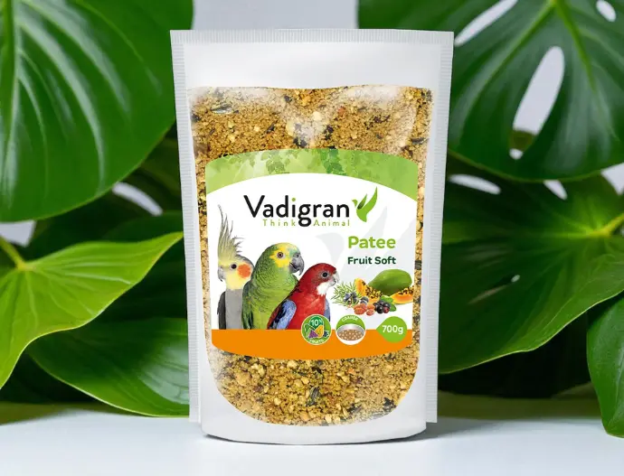 Patee Soft fruit 700g eivoer.