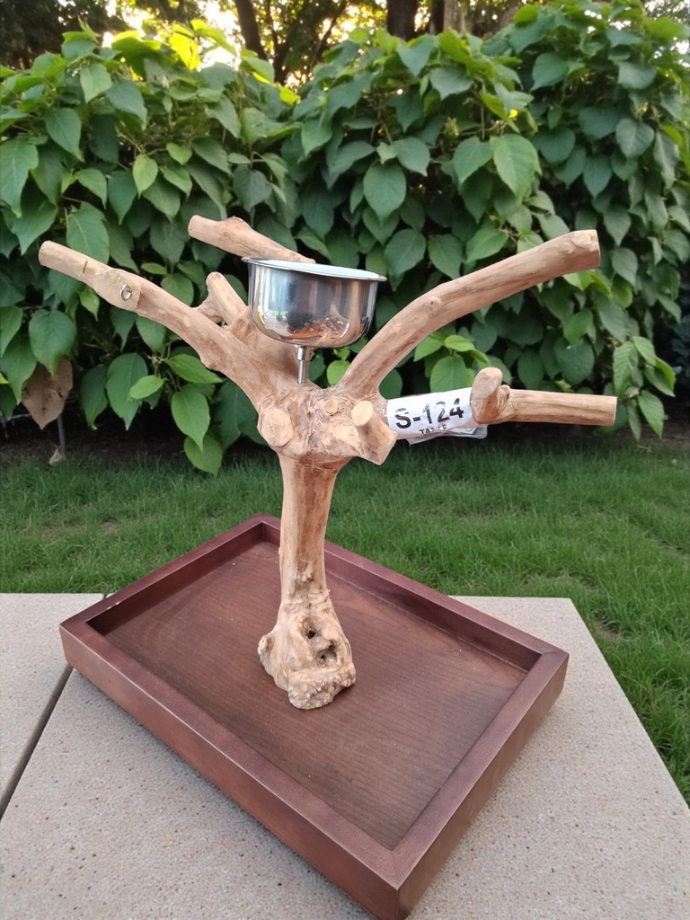  ARBRE JAVA – modèle de table (S124)