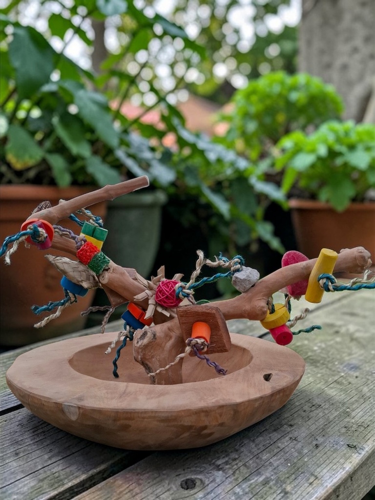 BOL DE FOUILLE EN BOIS DE JAVA AVEC PERCHOIR & JOUET Large