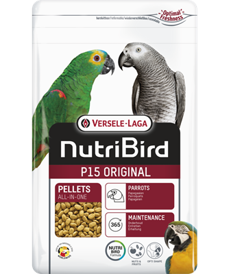 P15 Original