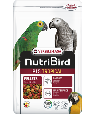 P15 TROPICAL