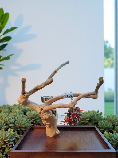 MODÈLE DE TABLE JAVA ARBRE MEDIUM (M104)
