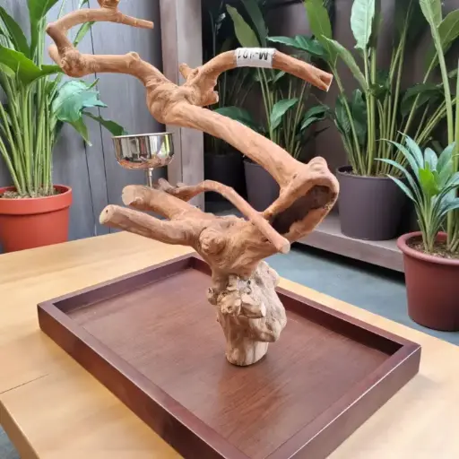 MODÈLE DE TABLE JAVA ARBRE MEDIUM (Vendu)