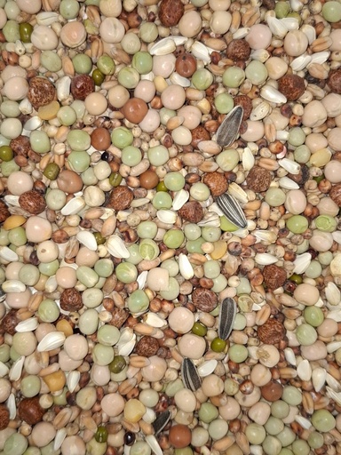 [421830] Graines germées pour grandes perruches et perroquets