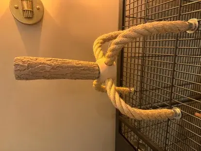 ARAIGNÉE AVEC BÂTON DE PORT