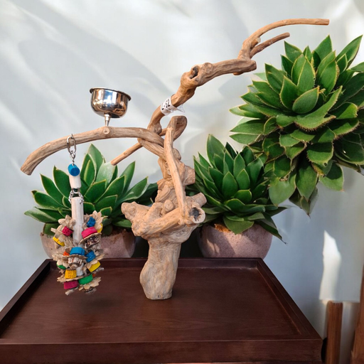 JAVABOOM TAFELMODEL LARGE met gratis speeltje en verzending (L62) 