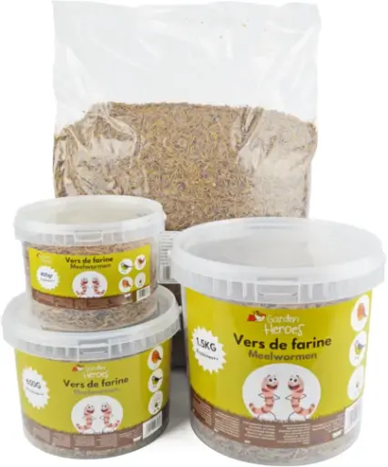 VERS DE FARINE 400GR
