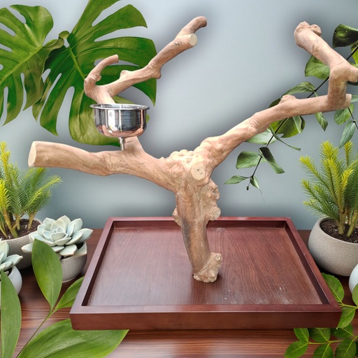 TABLE ARBRE JAVA MODÈLE (M159)