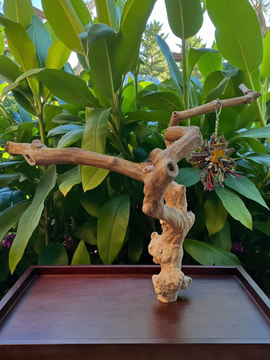 TABLE ARBRE JAVA MODÈLE GRAND (L103)