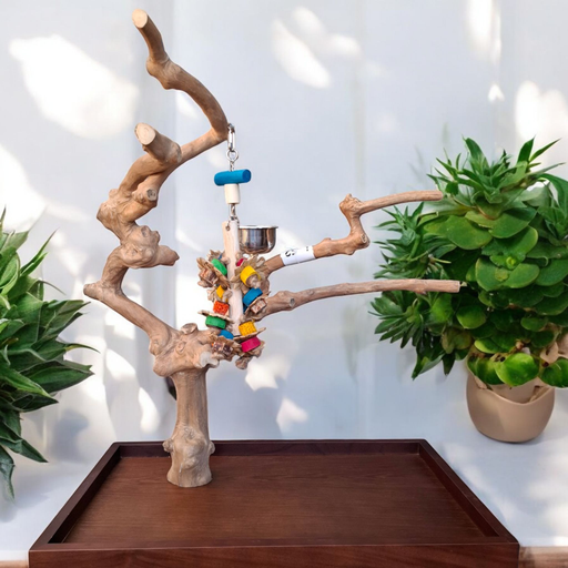 MODÈLE DE TABLE JAVABOOM GRAND avec jouet et livraison gratuits (L52)