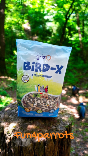 PAPEGAAIMENGELING + NOTEN BIRD-X