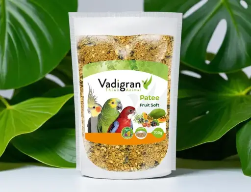 Patee Soft fruit 700g eivoer.