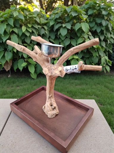  ARBRE JAVA – modèle de table (S124)